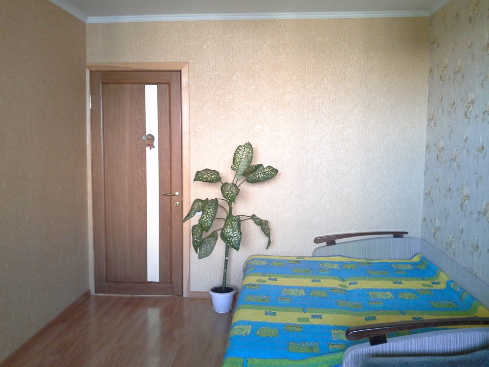 Однокомнатная квартира возле метро Холодная Гора #5