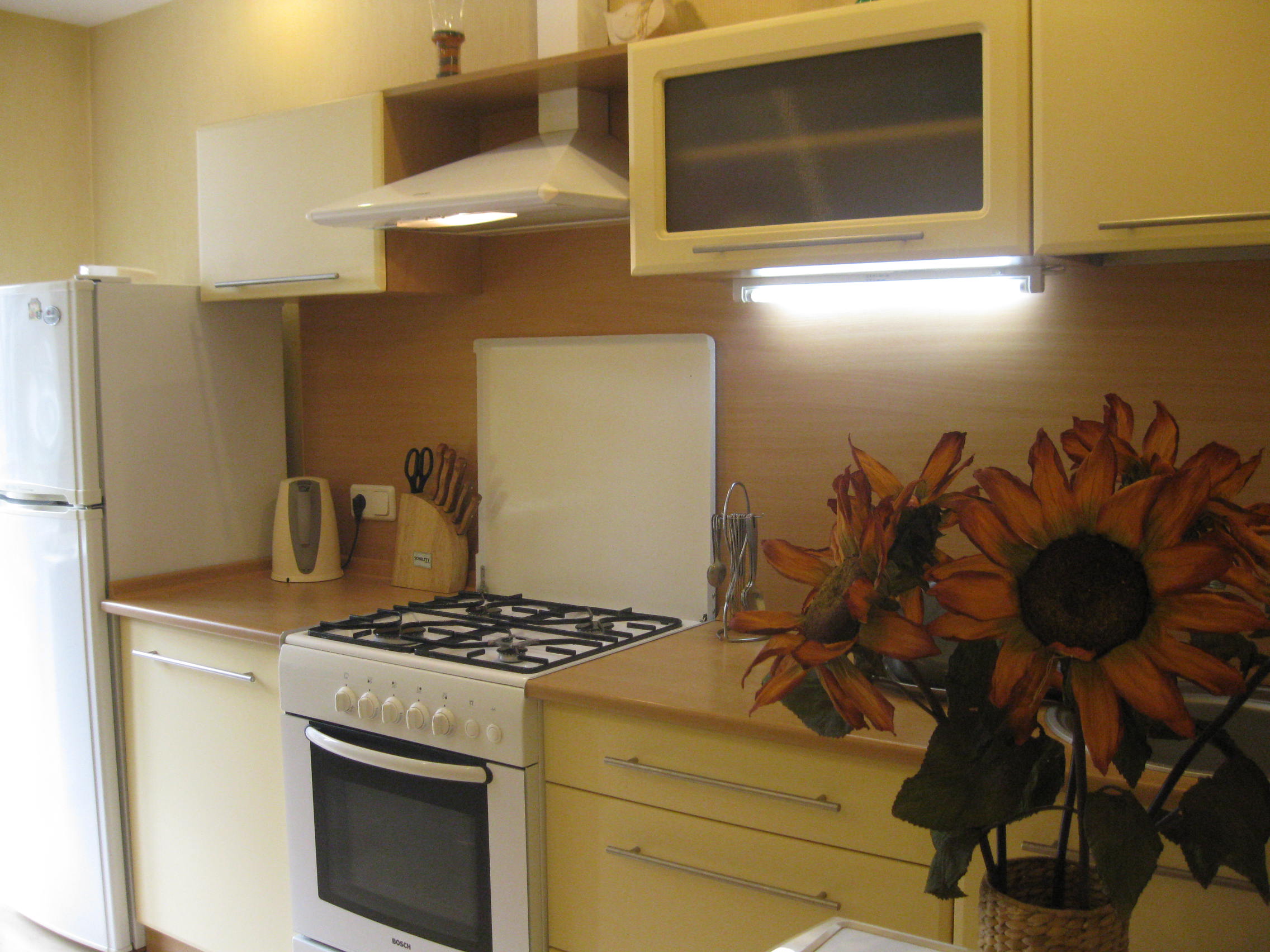 Квартира в Аркадии у моря #6