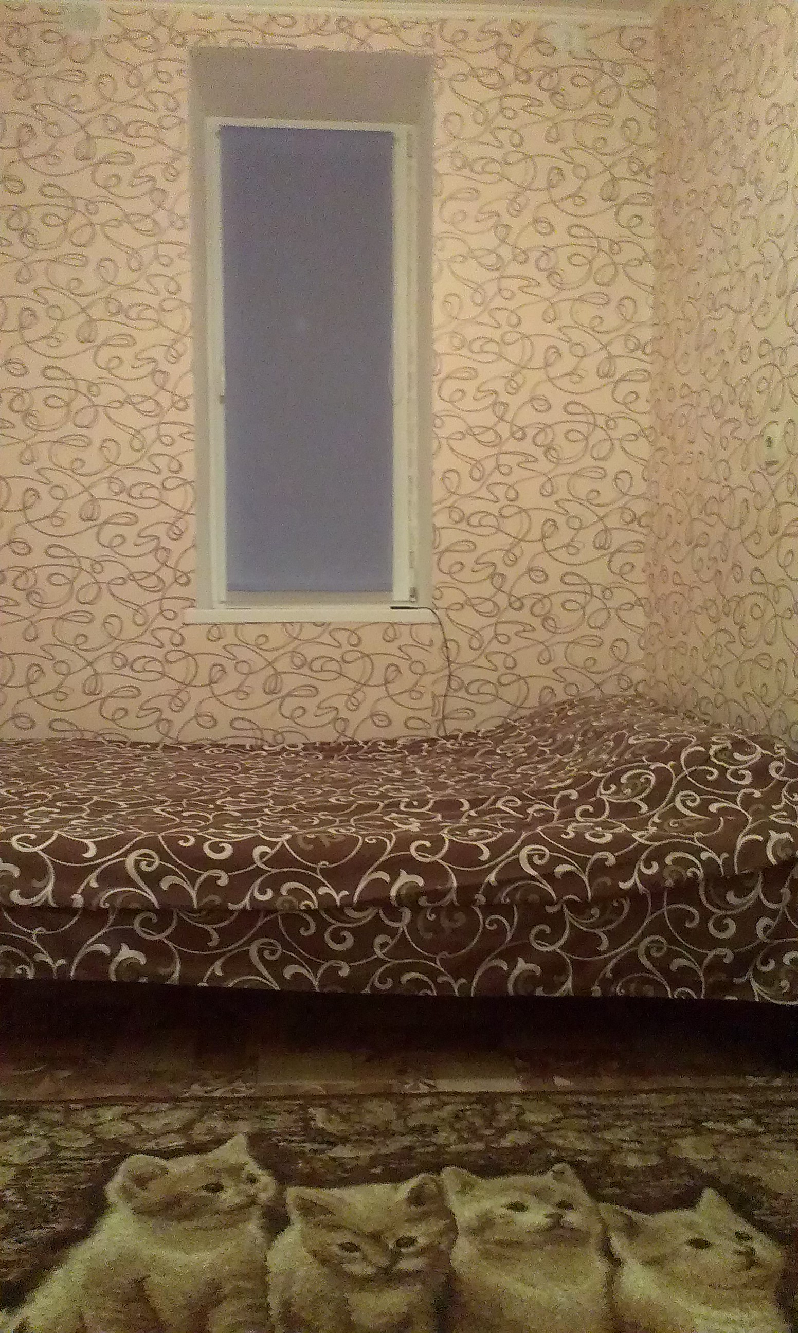 1-комнатная квартира,  рядом базар Привоз #3