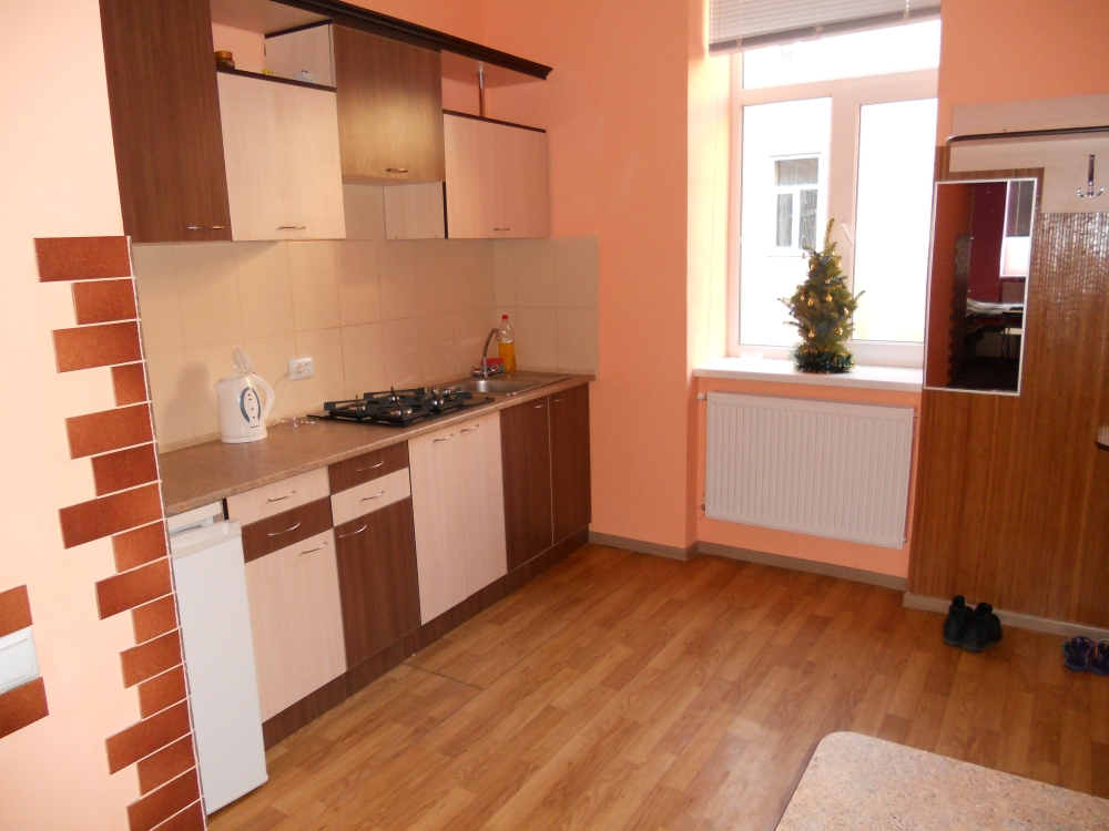 В центре города новая квартира #3