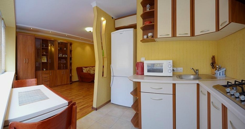 Уютная однокомнатная квартира в самом центре Львов... #7