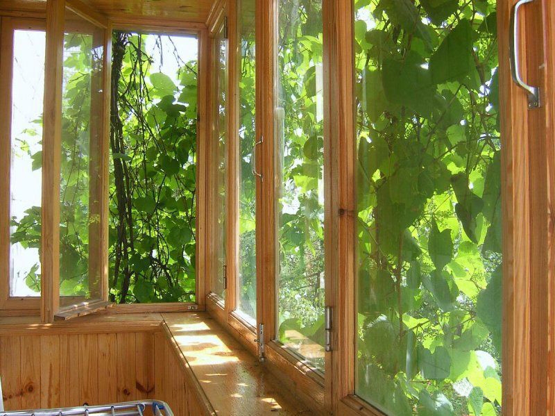 4-комнатная квартира с тремя отдельными спальнями... #7