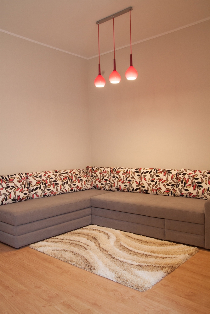 1-комнатная квартира во Львове #10