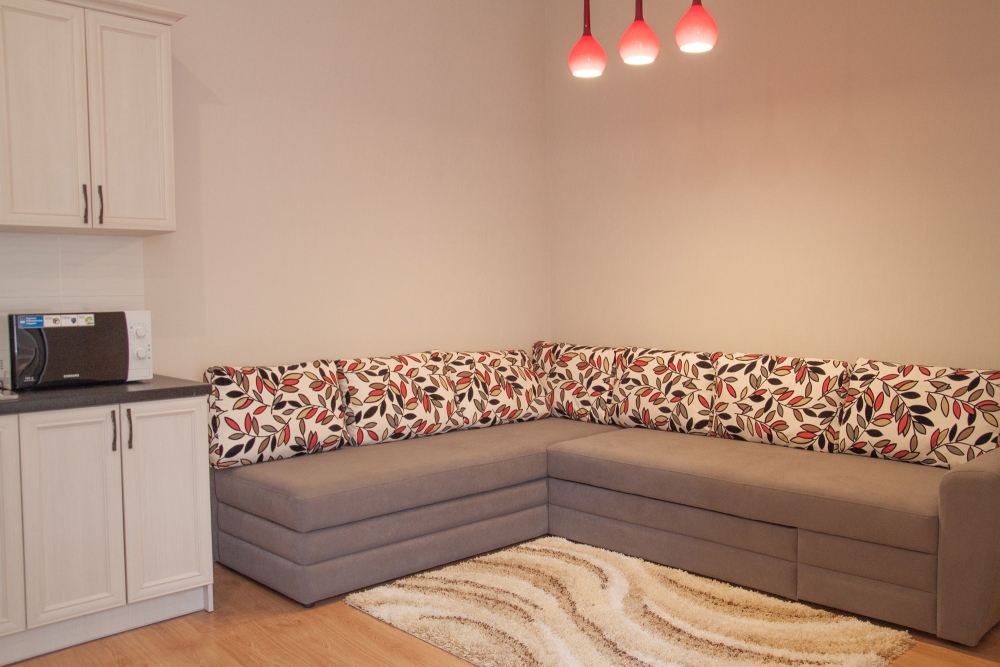 1-комнатная квартира во Львове #11