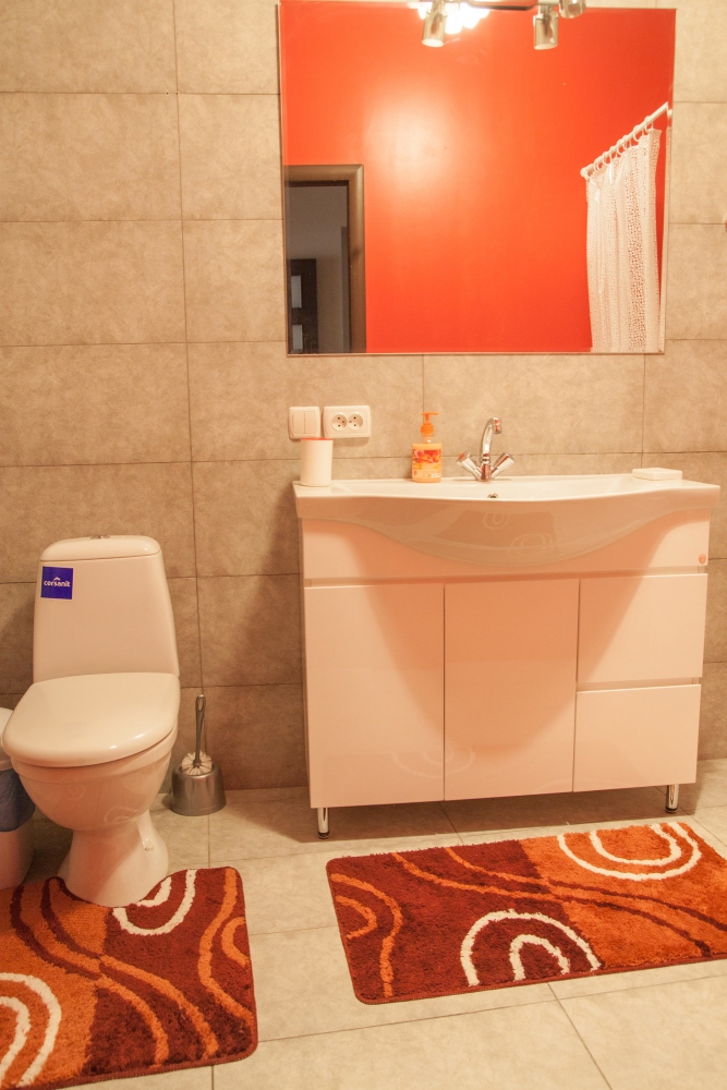 1-комнатная квартира во Львове #14