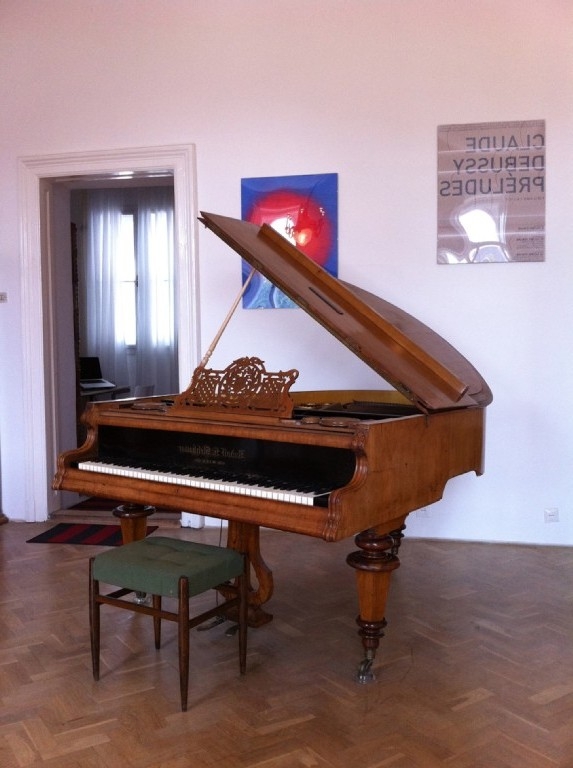 Четырехкомнатная квартира с роялем #8