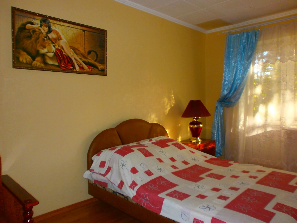 1-комнатная квартира полулюкс. Центр. #9