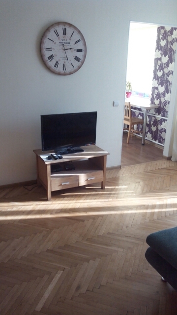 Апартаменты с одной спальней на Печерске #2