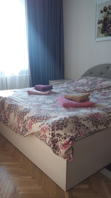 Апартаменты с одной спальней на Печерске #3