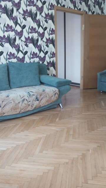 Апартаменты с одной спальней на Печерске #4