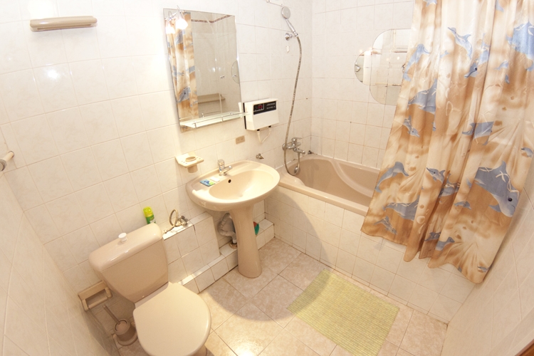 Квартира возле цирка #9