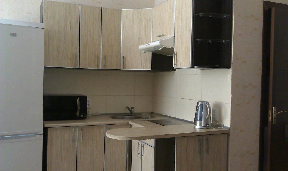 Однокомнатная квартира посуточно/почасово #2