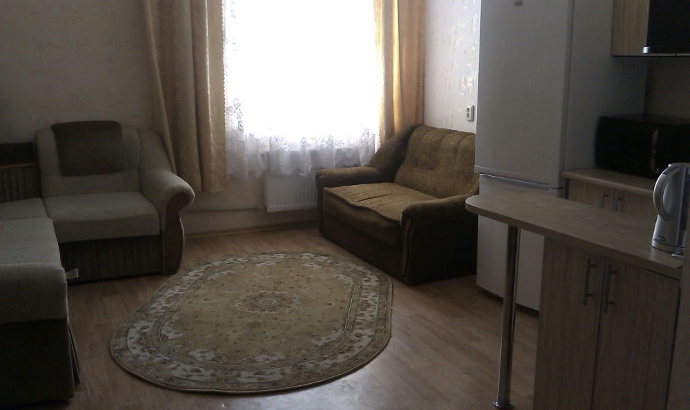 Однокомнатная квартира посуточно/почасово #3