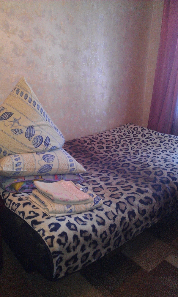 Посуточно 2-х комн.кв на Нивках, Экспоплаза #3
