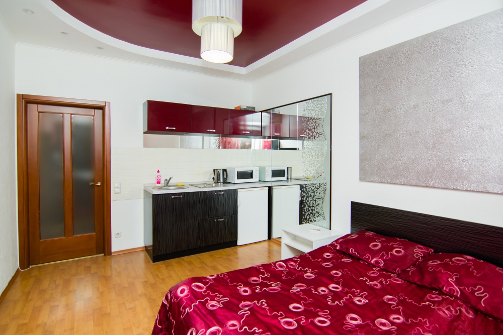 Романтик-студио в самом центре Харькова #6