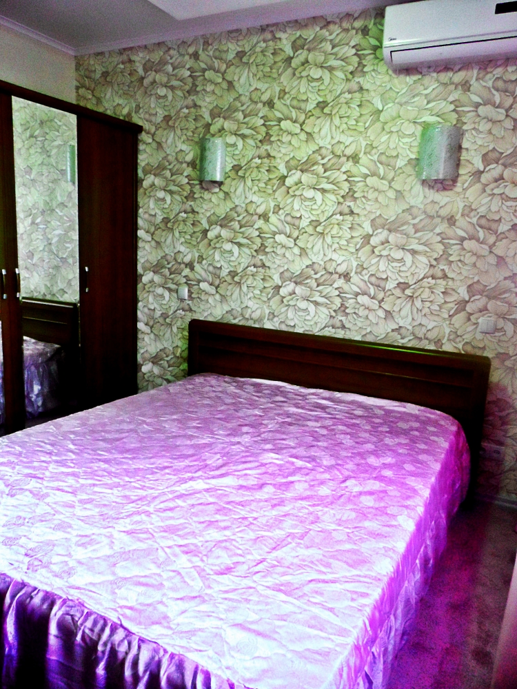 Шикарная 2-комнатная квартира возле м.Спортивная #10