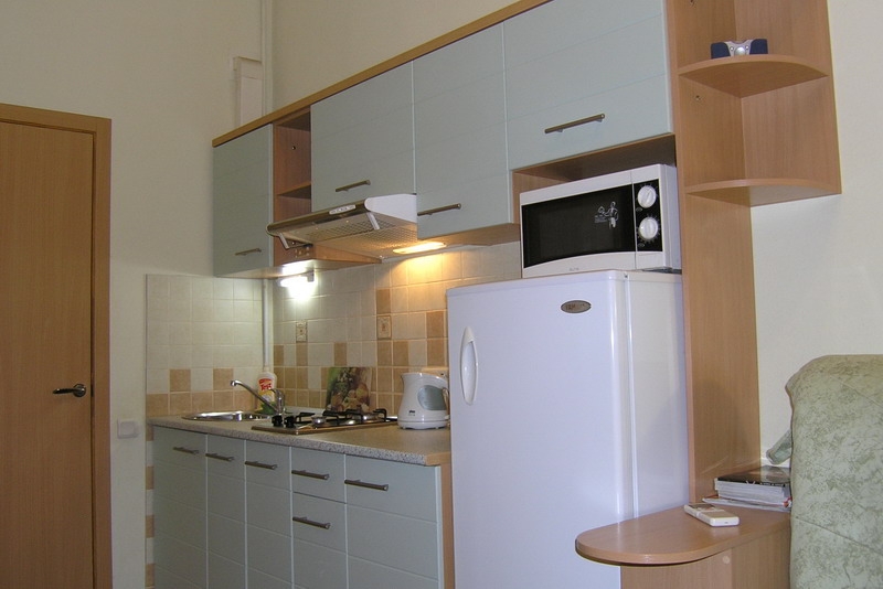 Однокомнатная квартира в самом центре Харькова #4