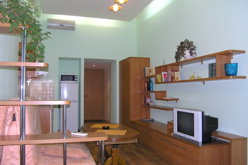 Однокомнатная квартира в самом сердце города #2