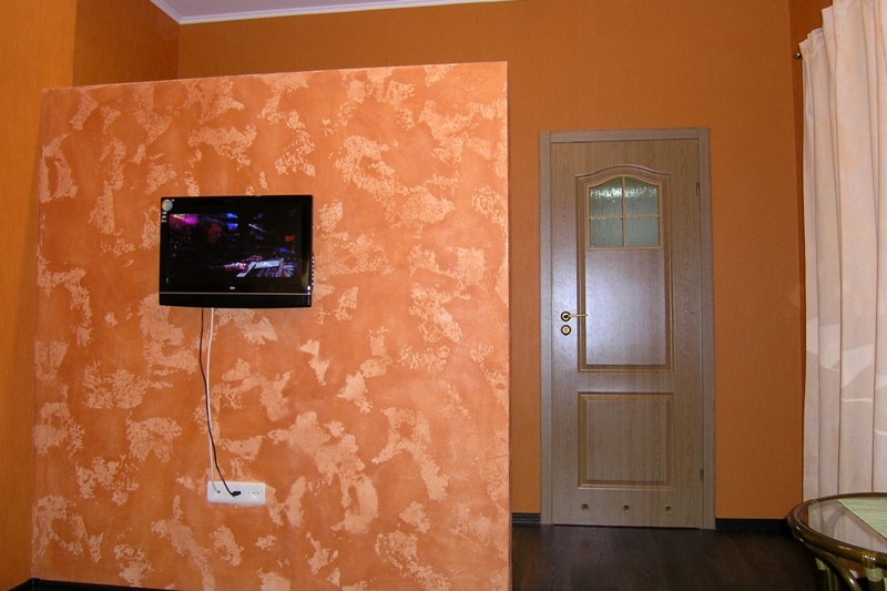 Однокомнатные апартаменты в самом центре Харькова #2