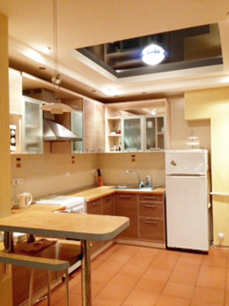 Квартира люкс  у Польского консульства #5