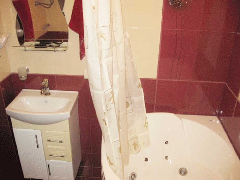 С джакузи и камином  квартира люкс около ст.м.Науч... #5