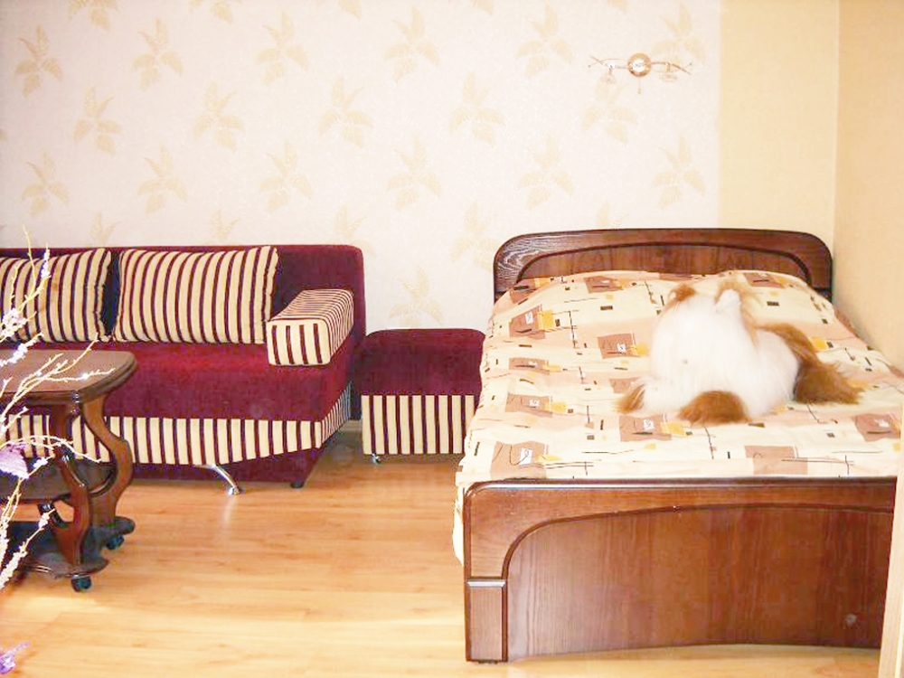 С джакузи и камином  квартира люкс около ст.м.Науч... #7