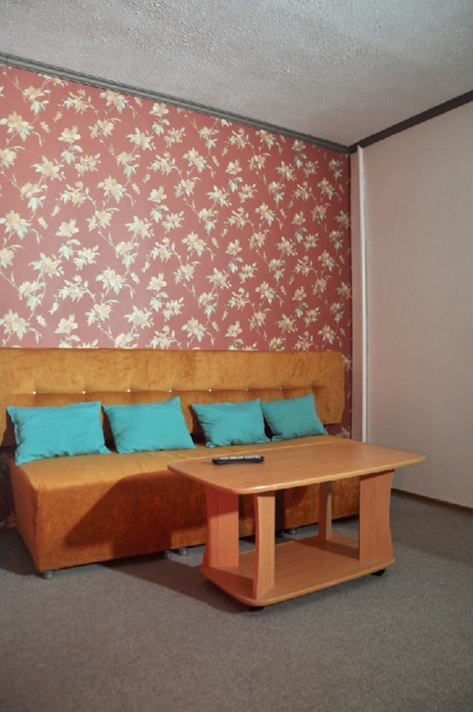 Комфорт класс у метро Университет #4