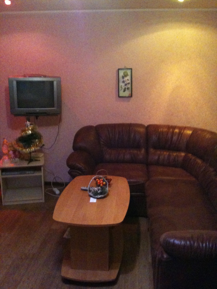 Посуточно 1 комнатная квартира на Павловом Поле #2