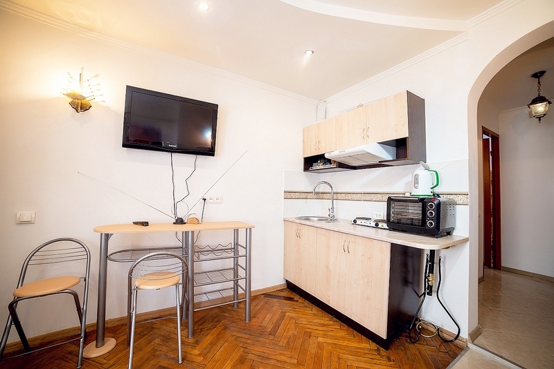 Уютная 1-комнатная квартира в центре Львова, возле... #7