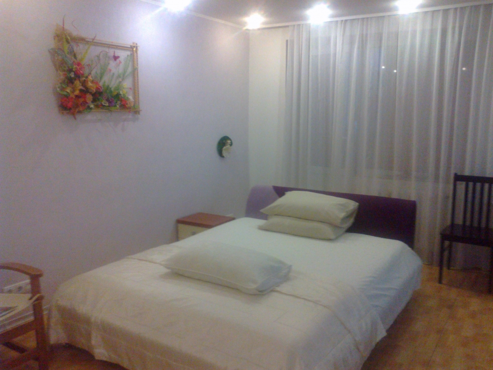 Посуточно 1 комнатная квартира на Павловом Поле #5