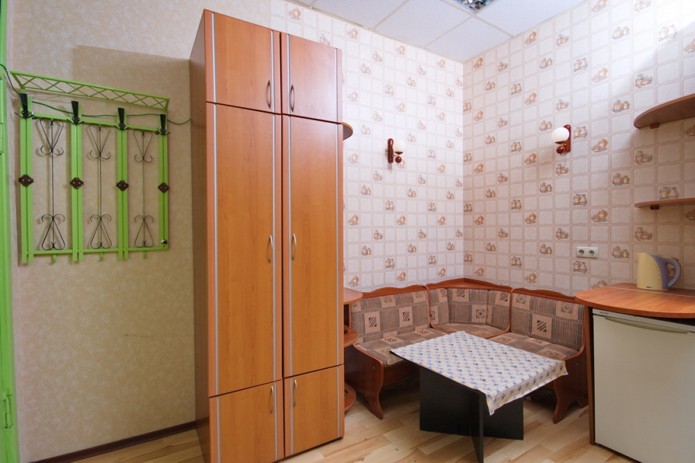 Однокомнатная квартира на Польской #2