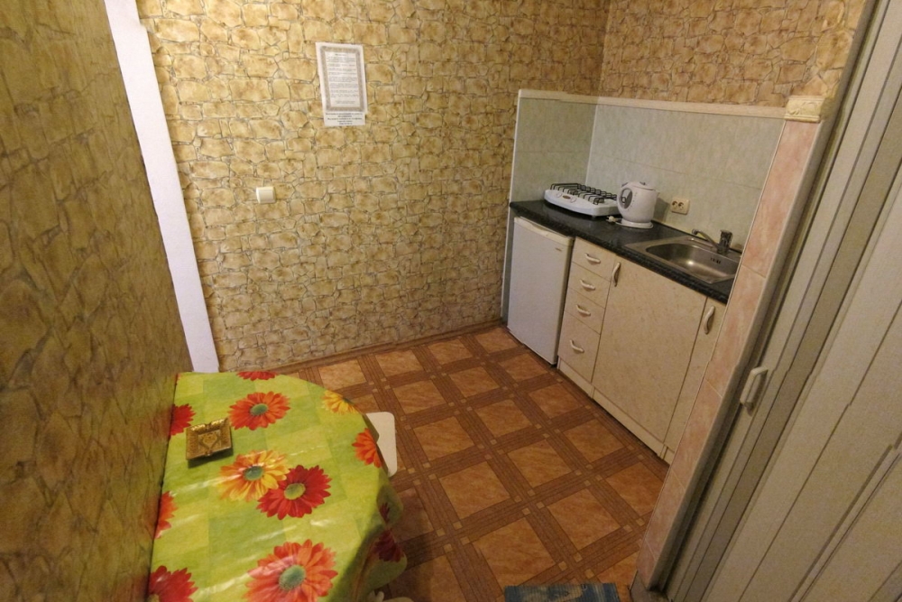 Однокомнатная квартира с удобствами на Польской #3