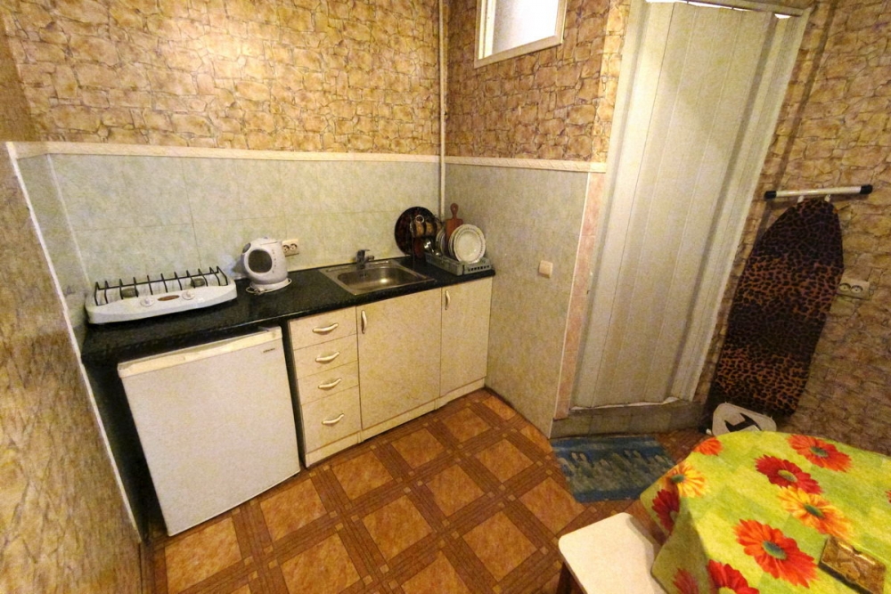 Однокомнатная квартира с удобствами на Польской #6