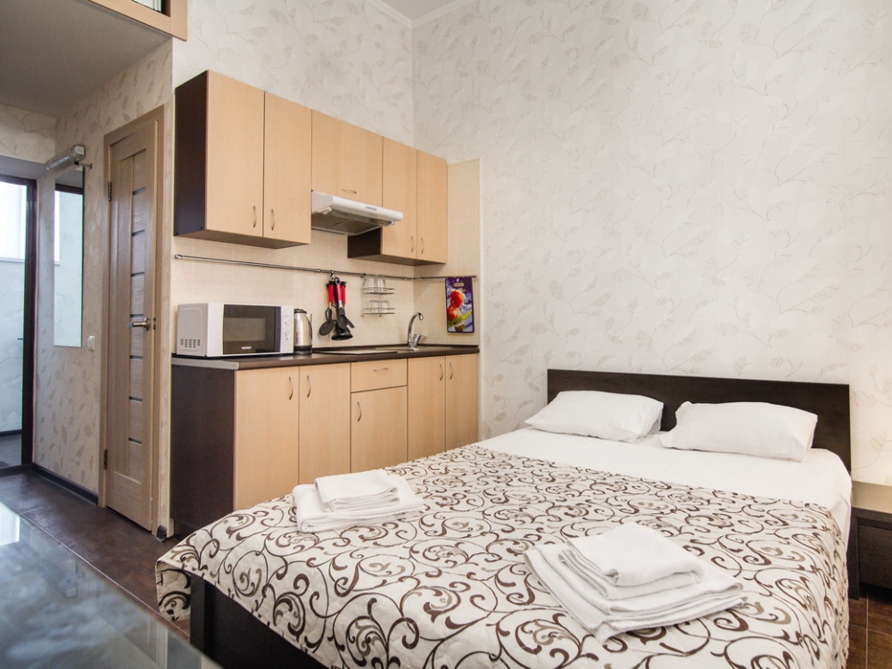 Однокомнатная квартира на улице Екатерининской #6