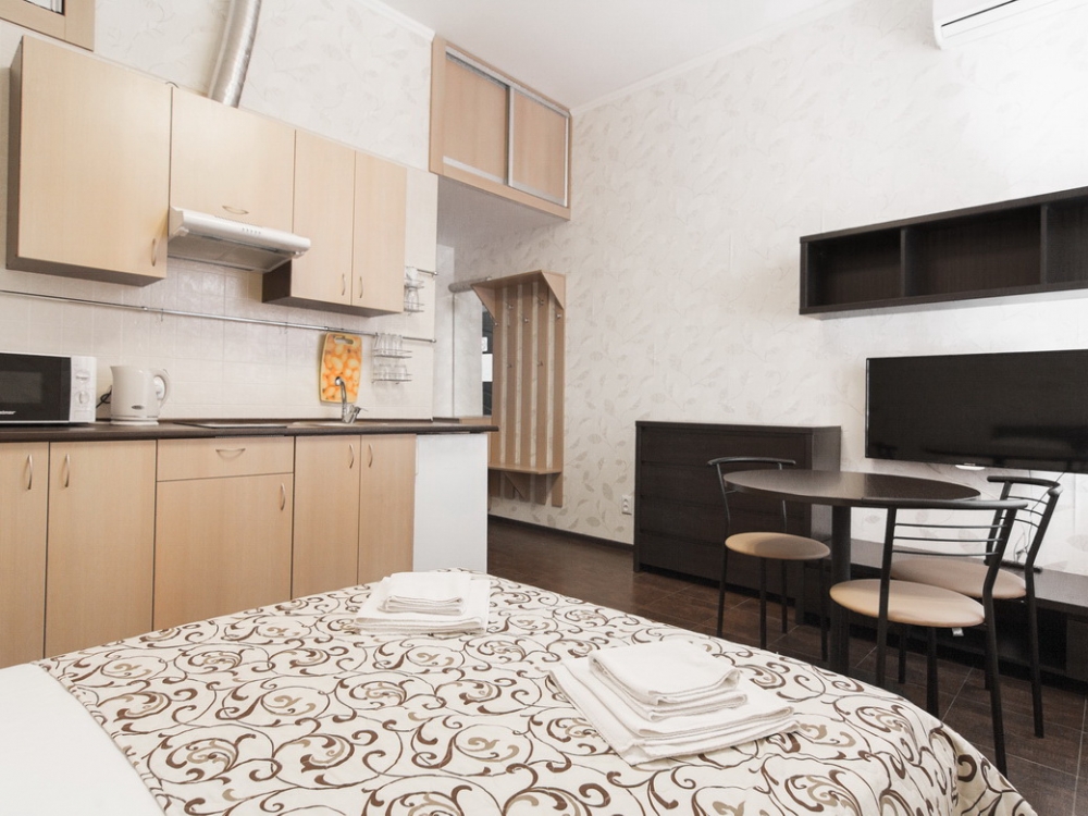 Однокомнатная квартира на Екатерининской улице #5