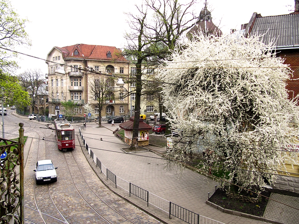 Просторная и светлая квартира в центре Львова #3