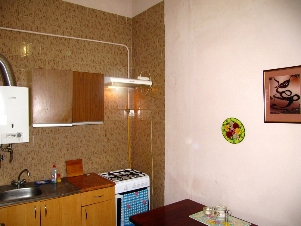 Просторная и светлая квартира в центре Львова #4