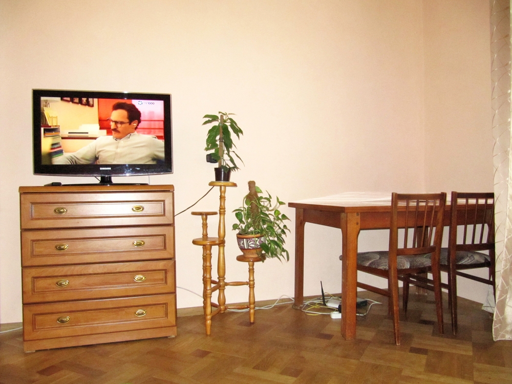 Просторная и светлая квартира в центре Львова #10