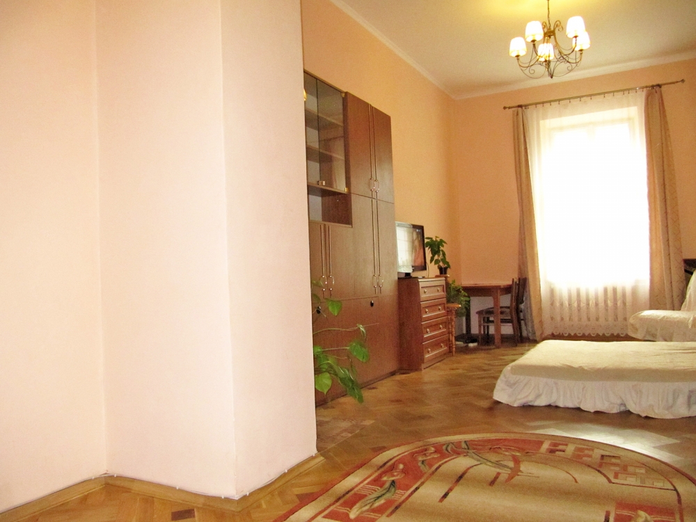 Просторная и светлая квартира в центре Львова #11