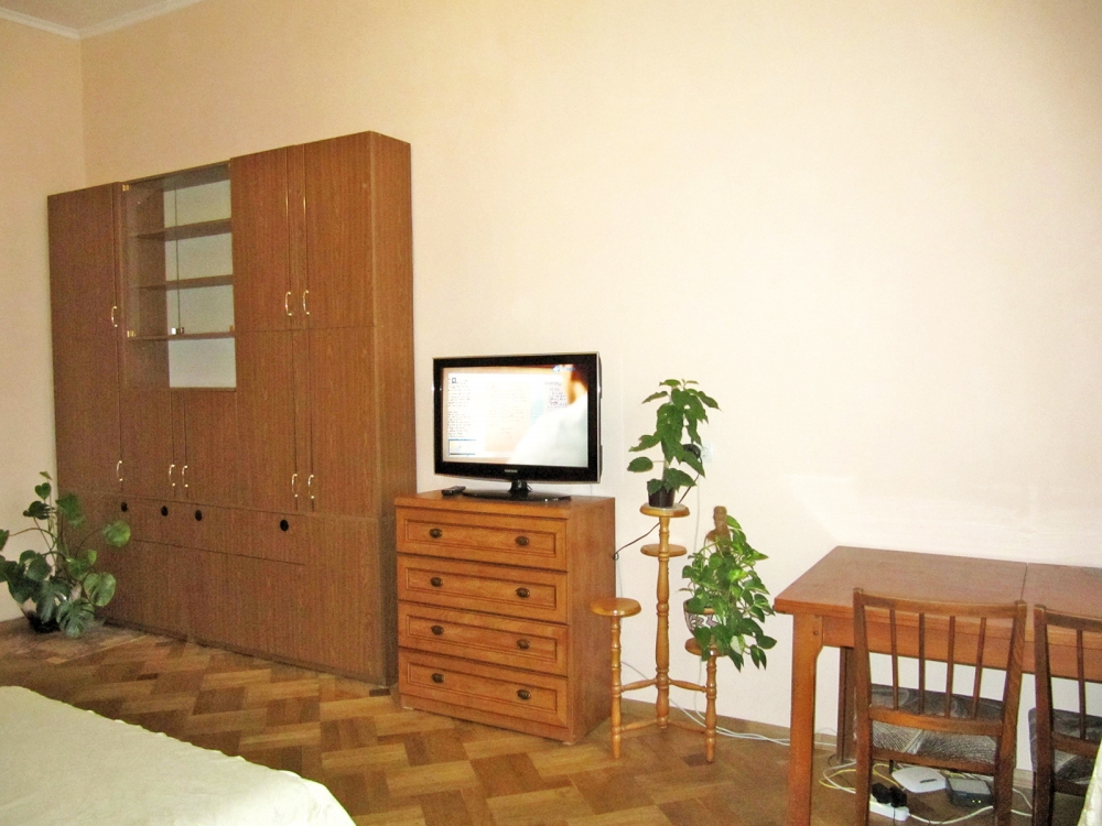 Просторная и светлая квартира в центре Львова #12