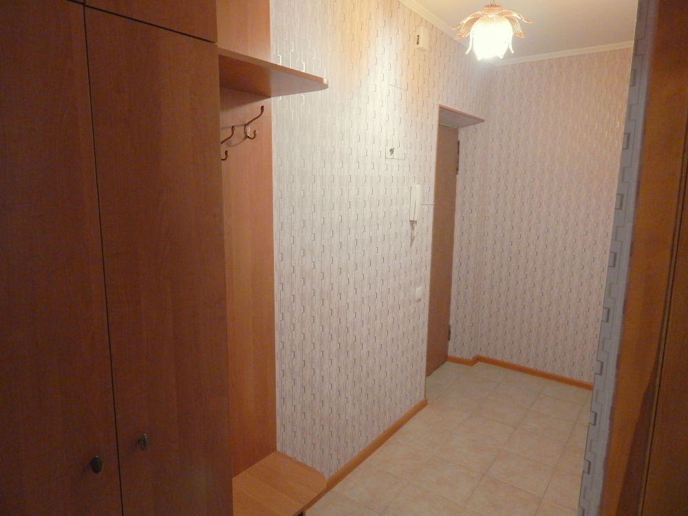 Лукьяновка, 1-комнатнатная, посуточно #3