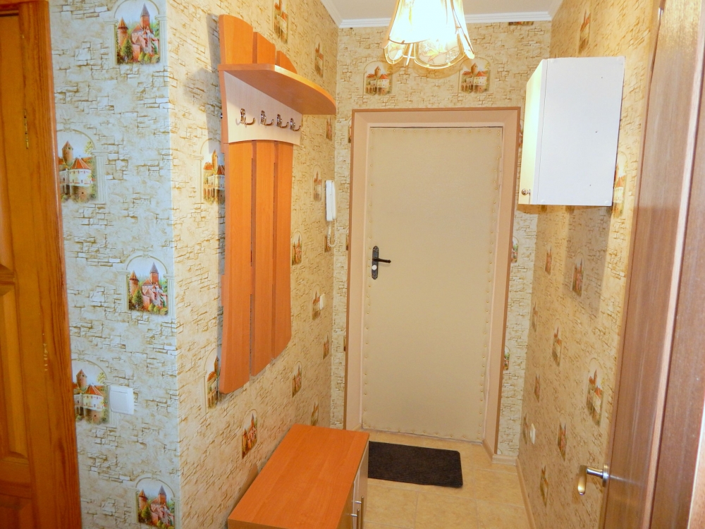 Лукьяновка, 1-комнатнатная, посуточно #6