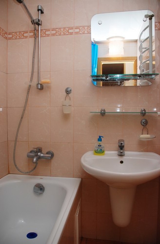 1-комнатная квартира в Киеве, WI-FI, 5 минут от Во... #2