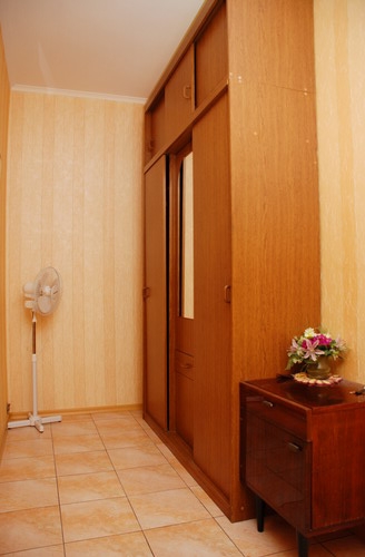 1-комнатная квартира в Киеве, WI-FI, 5 минут от Во... #3