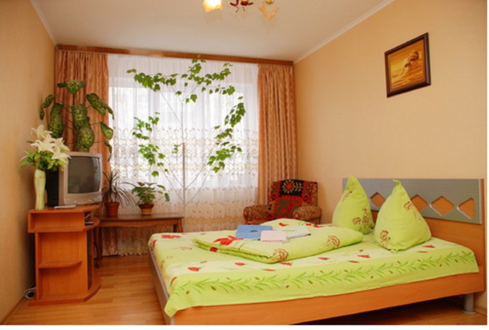 1-комнатная квартира в Киеве, WI-FI, 5 минут от Во... #5