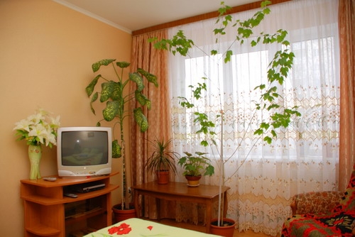 1-комнатная квартира в Киеве, WI-FI, 5 минут от Во... #6