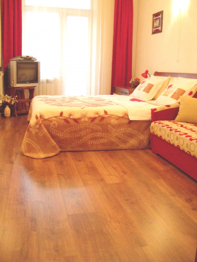 Киев, центр, посуточно, 1-комнатная квартира #6