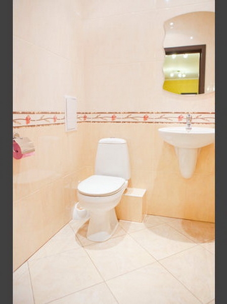 Большая 2-комнатная квартира, евроремонт, ст.м.Поз... #7