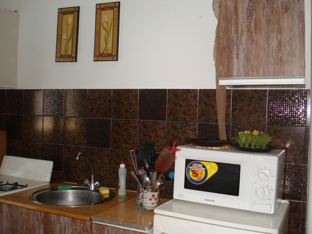 Однокомнатная квартира на Ивана Лепсе #3