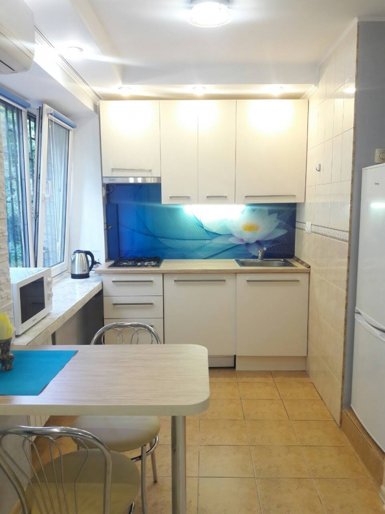  1-комнатная квартира в центре Киева #2